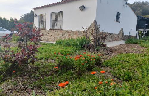 Finca del Abu - Foto 5