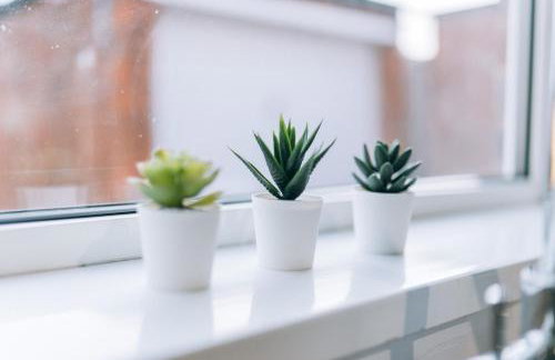 Dinsdale House - Foto 24