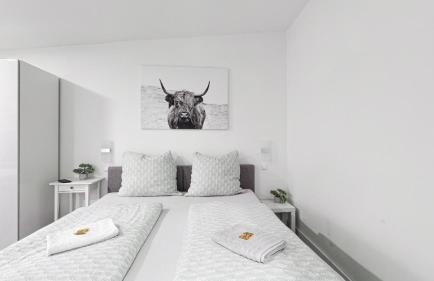 Ferienwohnung Domspatz mit Klimaanlage - Photo 1