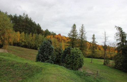 Gospodarstwo Agroturystyczne Agroletnica - Foto 101