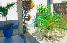 Casa de novela , Sol e piscina - Foto 8