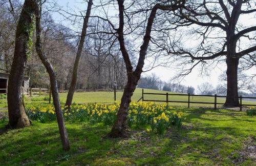 Horncombe Stables - Foto 15