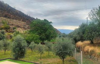 Casa Olho da Lebre Barrocal - Foto 17