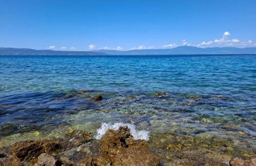 FoREST Heritage Apartment - Foto 66