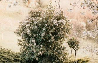 Holiday Home Medimurski Ceker - Foto 47