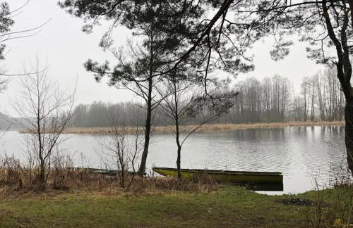 Zacisze leśne w Juliance - Foto 25