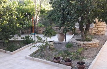 Tulip House - Foto 7