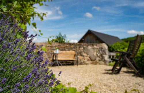 La Vallee des Elements - Foto 63