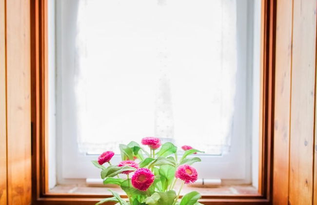 Herdade dos Castelejos - Foto 33