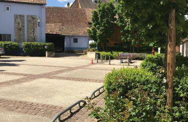 AUX DEUX CIGOGNES AMMERSCHWIHR - Foto 49