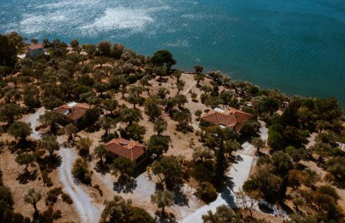 A Luxury Seafront Villa with amazing ambience and view - Foto 5