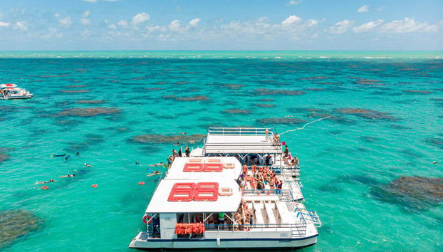 Balade en bateau avec snorkeling dans le récif de Maracajaú - Foto 5