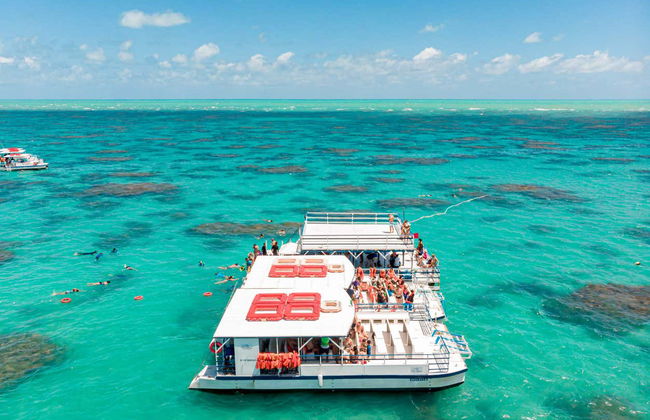 Balade en bateau avec snorkeling dans le récif de Maracajaú - Foto 5