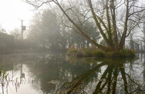 Mulberry Cottage - Photo 35