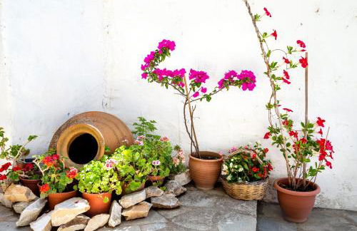 Cozy Traditional House in Thassos, Kallirachi - Foto 39