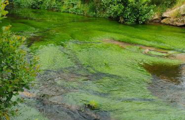 Cap sur le Guillec - Foto 40