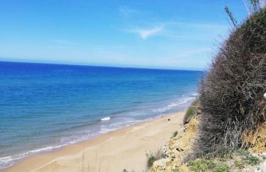 Anestis Studios - Foto 57