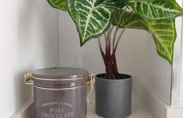 Luz de Lúa - Foto 15