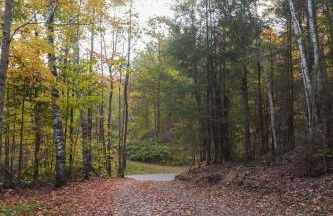 The Peshtigo Pines Treehouse - Foto 29