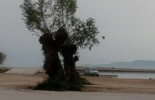 Cozy house 2 - Photo 28