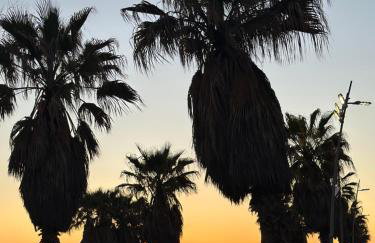 Penthouse Salus sea view terrace - Foto 40