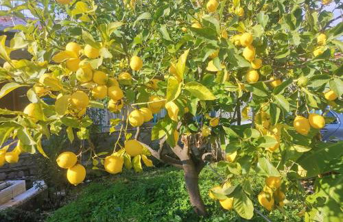 LEMON TREE GARDEN near Mirtos beach - Foto 64