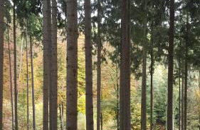 FeWo Schlossblick Marburg - Foto 16