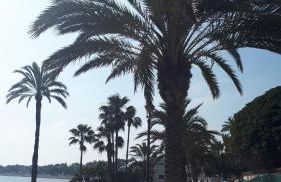 EL PARAISO GOLF Y PLAYA - Photo 34