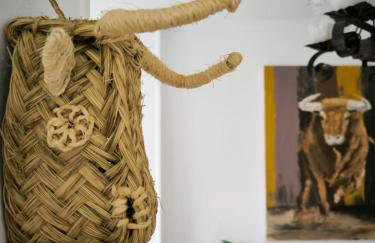 Casa Toro - Photo 11