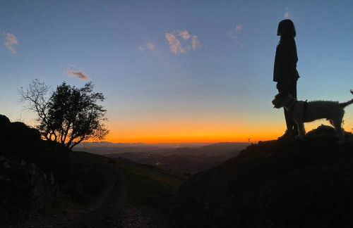 Olas y flores silvestres 2 - Foto 30
