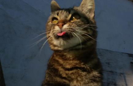 Monolocale di Meo - Foto 21