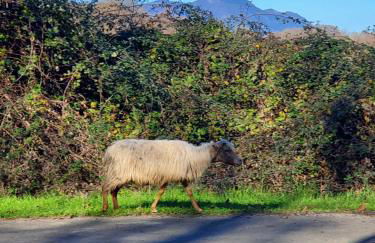 Residence Marina di Bravone - Foto 16