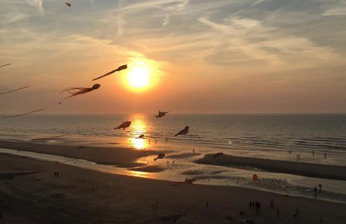 Entre dunes et mer - Foto 30