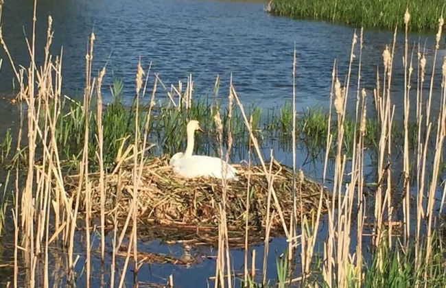 2 on the Estate - Mosch - Foto 11