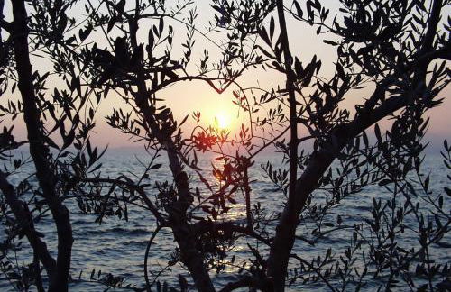 Apt Gardasee Lazise Cola - Foto 32