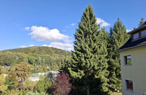 Ferienwohnung Böhme Aue - Photo 30