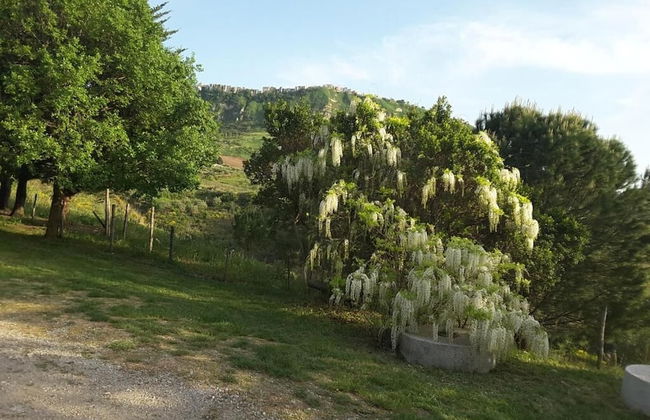 Giardino Donna Lavia - Photo 35