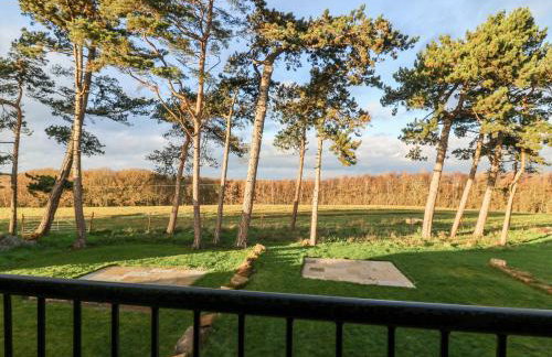 Miller's Wheel - Photo 15