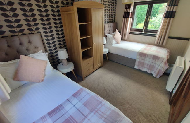 Birds Farm - Foto 10