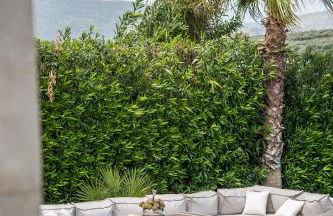 Miraida Exclusive Residence - Photo 7