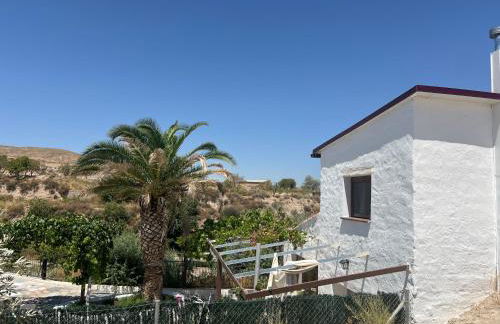 Casa -Cueva Paraje De Los Majuelos - Foto 57