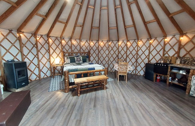 Avens Alaska - Foto 13