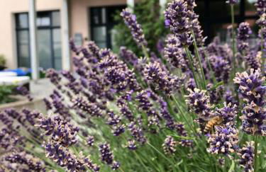 Faupel Ferienwohnung - Foto 8