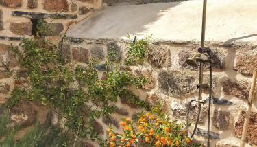 Lithos Residence Poros - Foto 4, Garden