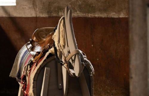 Ferienhof Ekenhoff - Foto 12