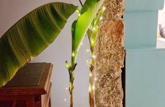 Sun&Sea House - Photo 4