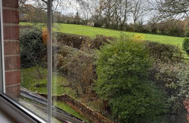 Cosy Forest Cottage Log Fire Ponies Walks - Foto 44