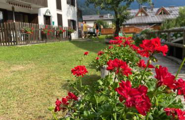 Carè Alto - Foto 68