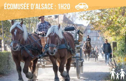 CathyVoyages - Ciel étoilé - Bord de Mer - Parking gratuit - Vidéoprojecteur - Lit rond - La Paillote Strasbourgeoise - Photo 61