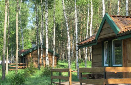 domki na leśnej polanie - Foto 1